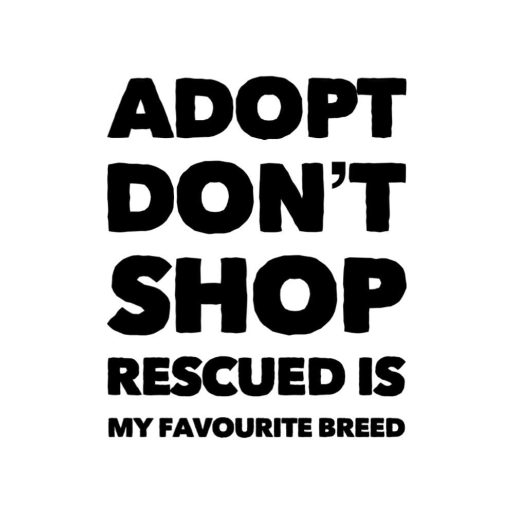 AdoptAgust Collaboration with Exclusively Mongrels - Adopt Don't Shop Collection