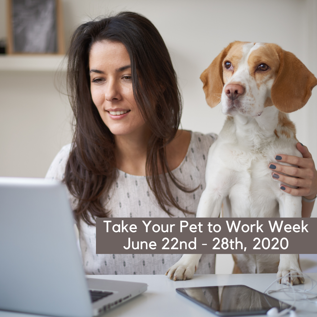 Take Your Pet to Work Week - June 22nd to 28th of 2020