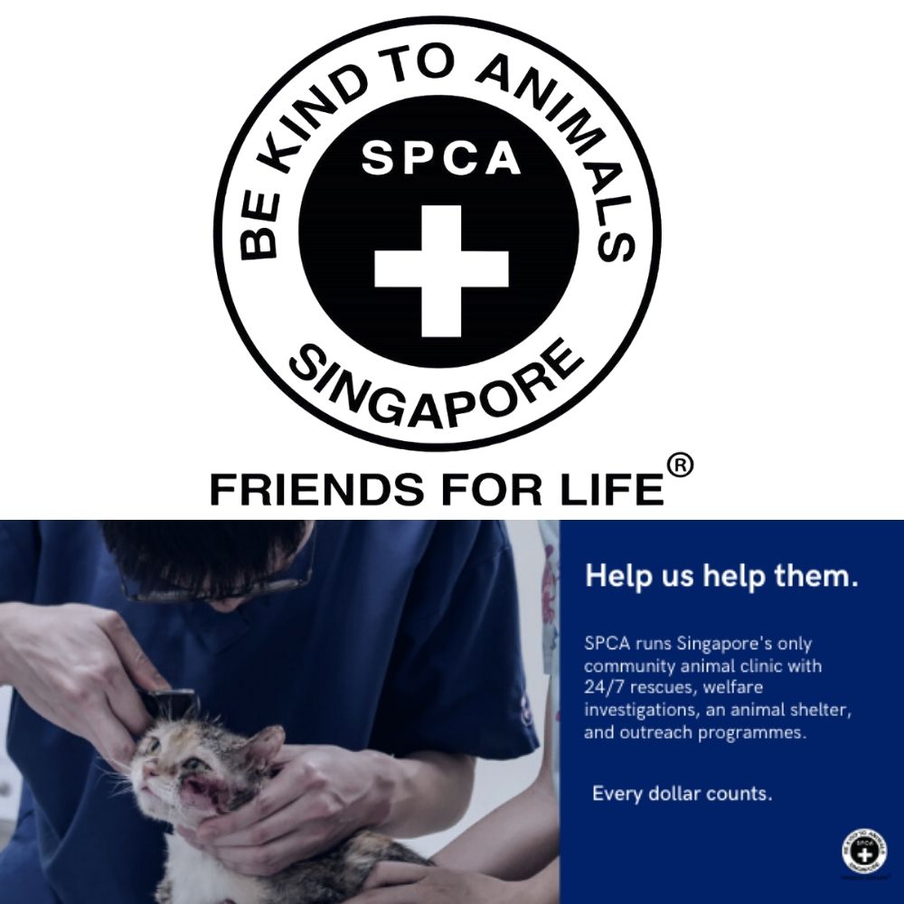 AdoptAgust Collaboration With SPCA - The Pet Supplies Collection