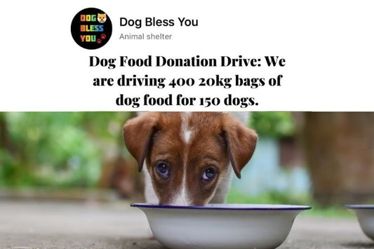 URGENT HELP NEEDED 🙏 FOUR HUNDRED 20KG BAGS OF DOG FOOD NEEDED!