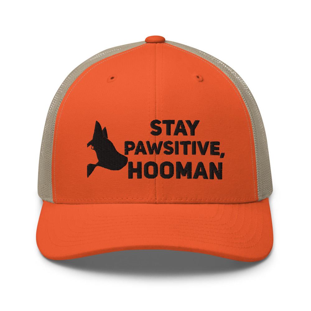 Stay Pawsitive, Dog Dad Hat, Dog Mom Hat
